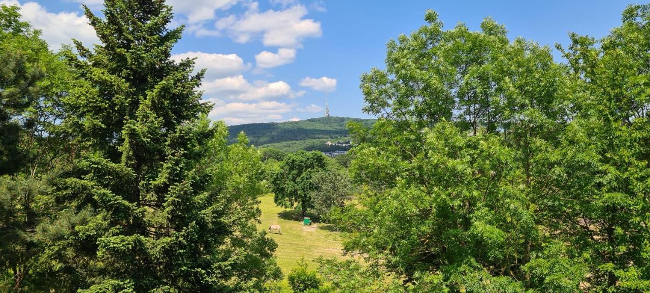 Casa Del Svana Bratislava Bagian luar foto
